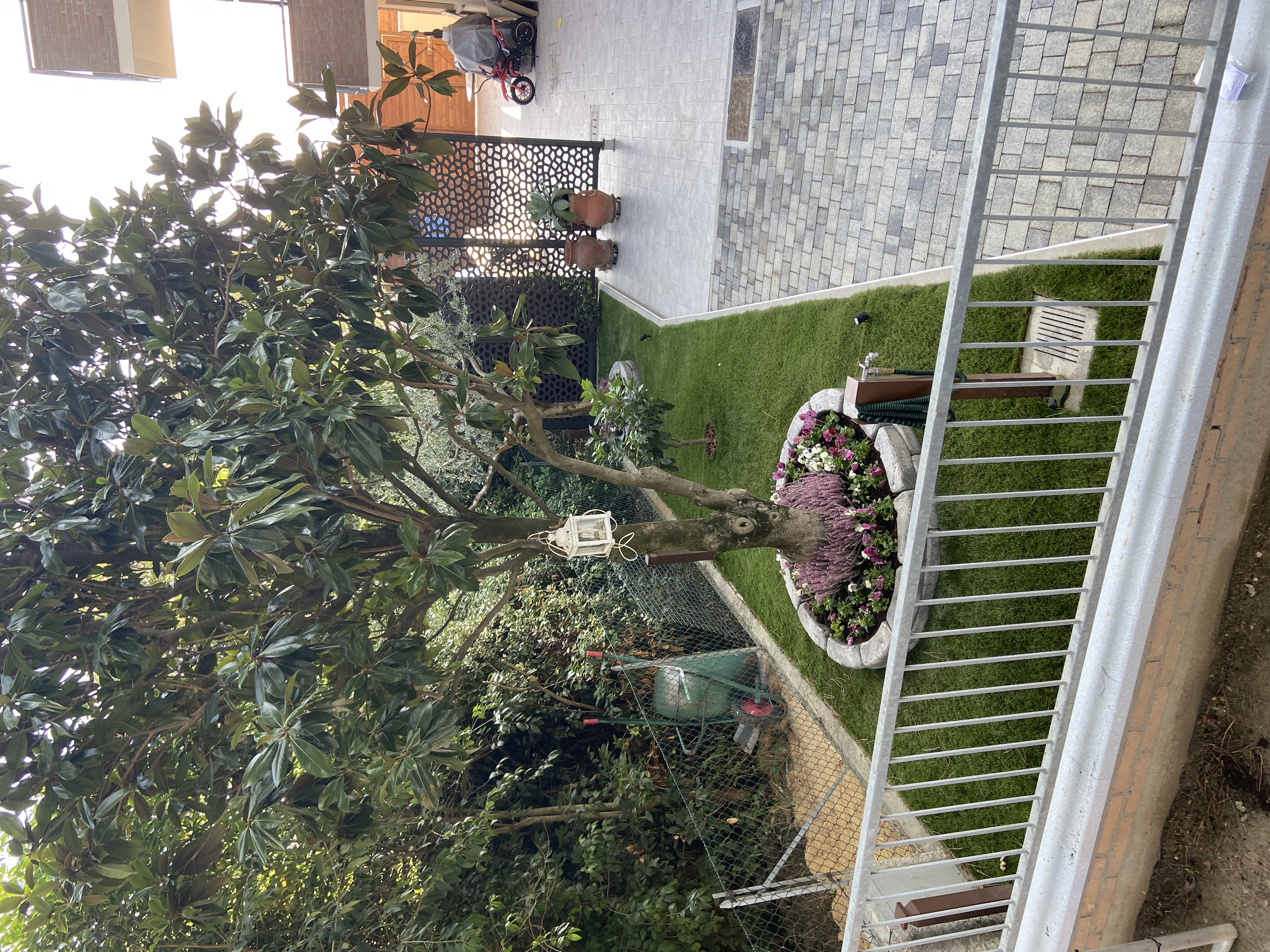 Dopo IMG_5796